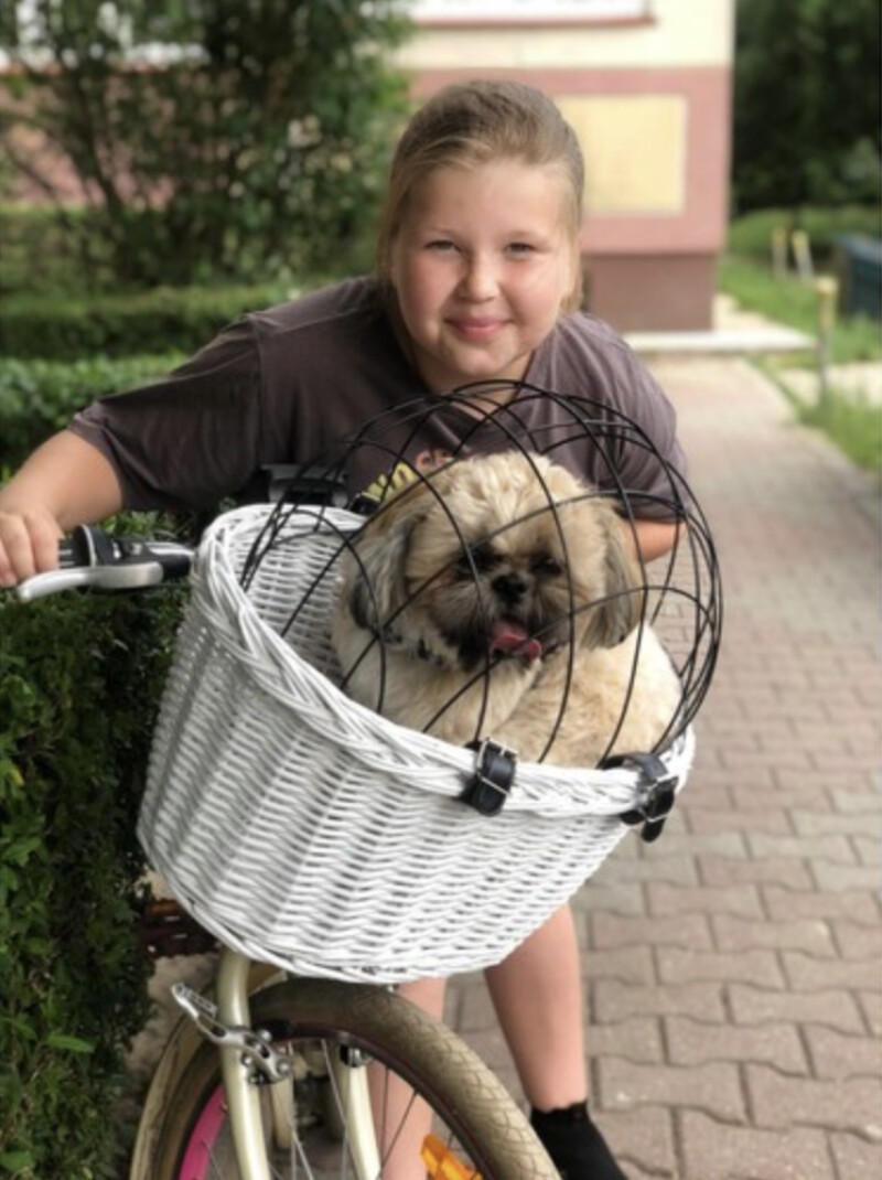 Pet bicycle basket