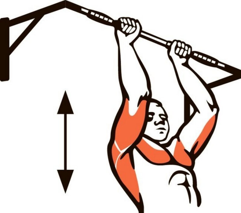 Wall pull up bar Slim 1